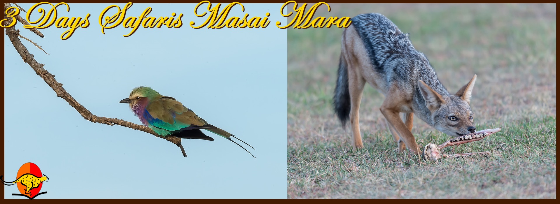 Third slide image