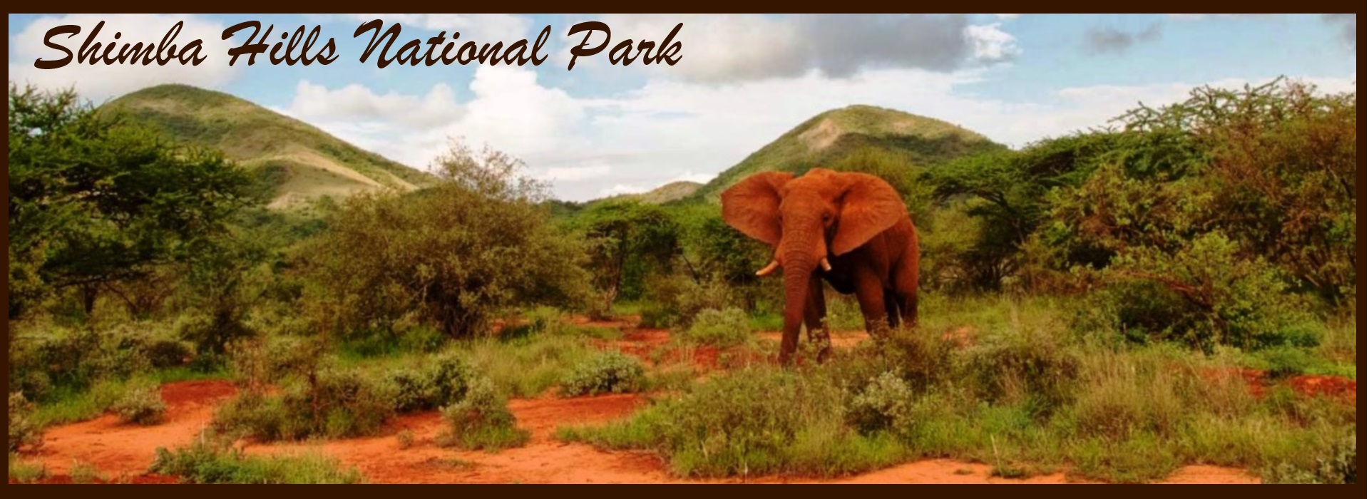 Shimba Hills National Reserve Full Day Tour