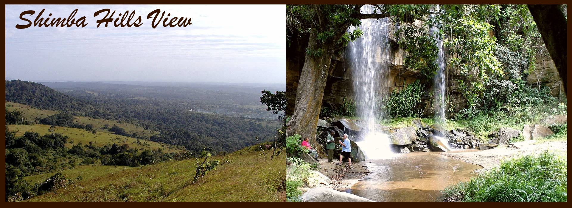 Shimba Hills National Reserve Full Day Tour