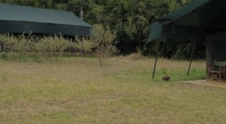 Aruba Mara Camp