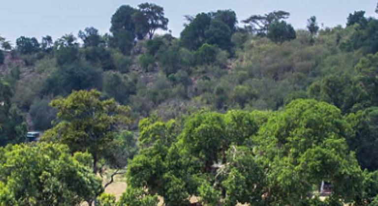Kicheche Mara Camp
