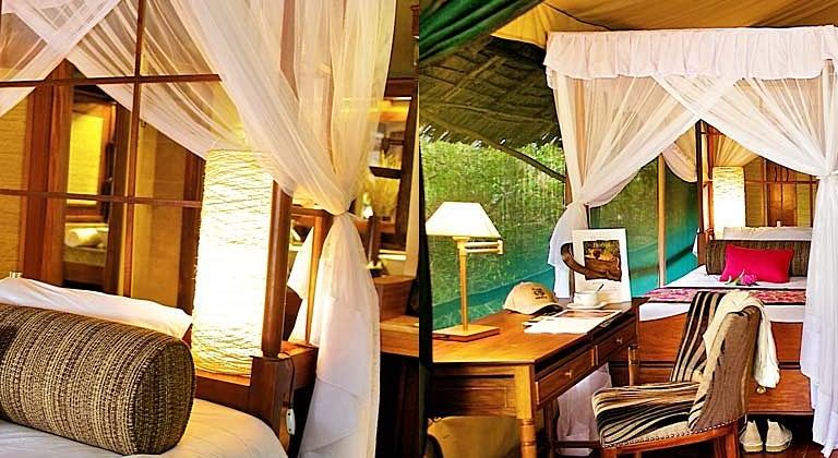 Samburu Intrepids Camp