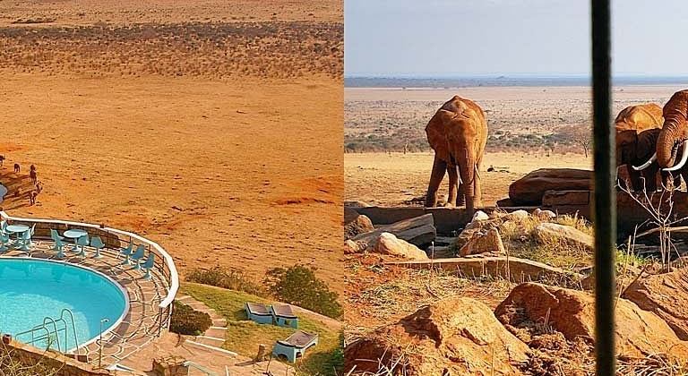 Voi Safari Lodge