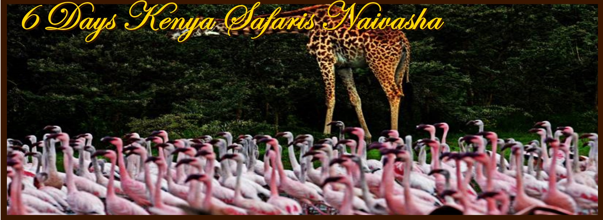Second slide image