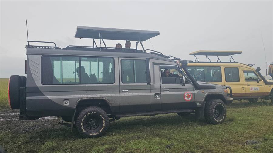 A grey extended 4x4 safari vehicle with a raised pop-up roof beside a yellow safari vehicle on a grassy plain