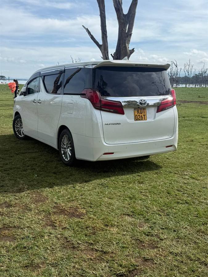 A white Toyota Alphard van parked on grass beside a lake with bare trees standing in the water